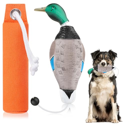 Dog Retriever Training Dummy Set with Mallard Decoy - Orange, Floats Water