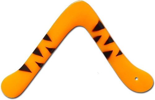 Boomerang Pro Sports by Polypropylene - Designed for Ages 10+ | Authentic World Champion Quality