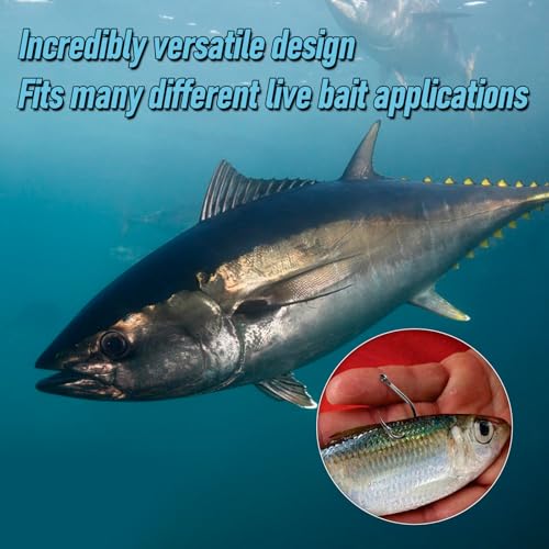 Saltwater Fishing Circle Hooks 30 Pack - In-Line Bait Hooks for Tuna, Halibut, Mackerel