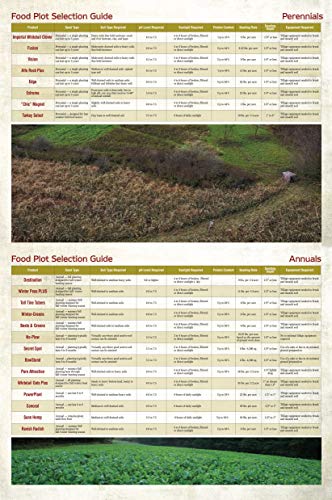 Whitetail Institute Tall Tine Tubers Deer Food Plot Seed 12-Pound (2 Acres) for Fall & Winter Attractant