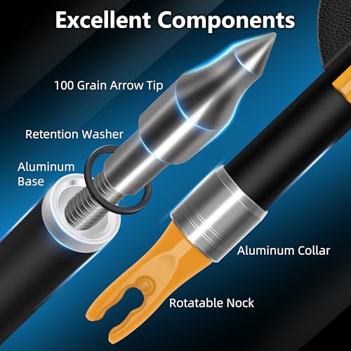 24 Pack Carbon Arrow Shafts for Compound Bows - 30 Inch Spine 500 with Removable Tips, Multi-Color Vanes