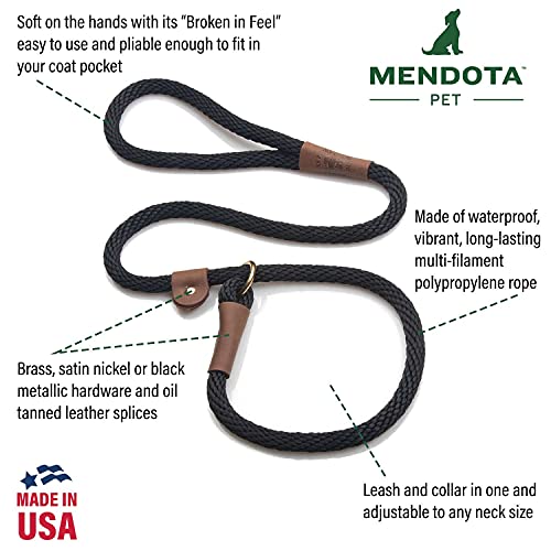 Slip Leash and Collar Combo for Small Dogs - 3/8 in x 6 ft, Orange, Made in USA