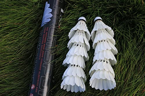 12 Pack Feather Badminton Shuttlecocks – Durable Birdies for Indoor & Outdoor Training