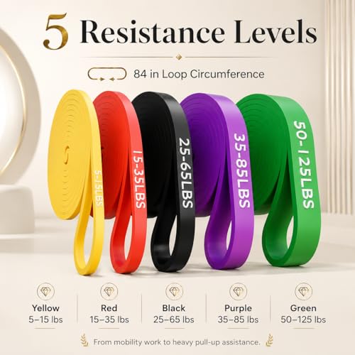 Resistance Bands Set of 5 for Strength Training & Physical Therapy - Heavy Duty Exercise Loops for Home Gym
