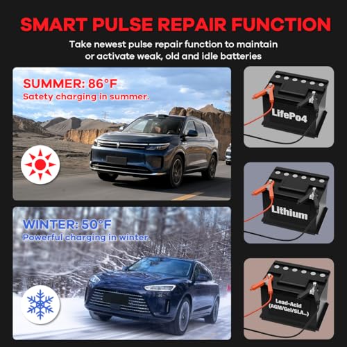 Smart Battery Charger 10A 12V & 24V with Repair Function - Lithium & Lead Acid