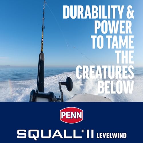 Penn Squall II Level Wind Conventional Fishing Reel 20LW for Bottom & Wreck Fishing