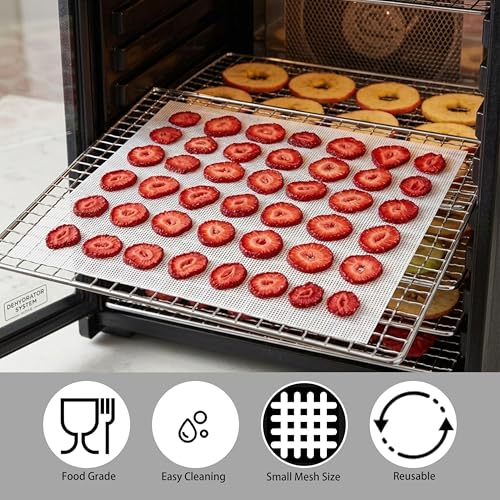 Silicone Dehydrator Sheets 13-Inch Reusable Mesh Mats for Food Drying - 10 Pack