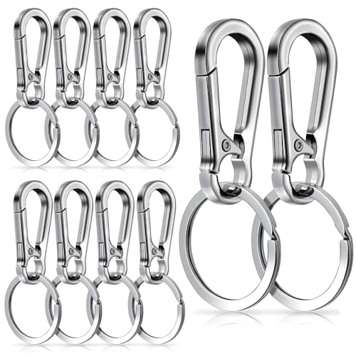 Heavy Duty Metal Keychain Carabiner Clips Set - Silver, 10 Pack