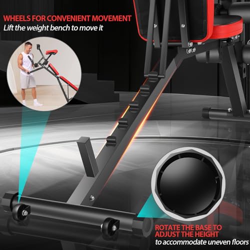 Adjustable Weight Bench with Leg Extension & Curl - Black, 800LBS Capacity