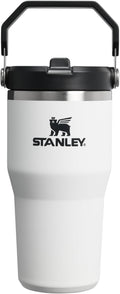 STANLEY IceFlow 2.0 Tumbler - 20 oz Insulated Water Bottle with Flip Straw & Handle | BPA-Free | Chalk