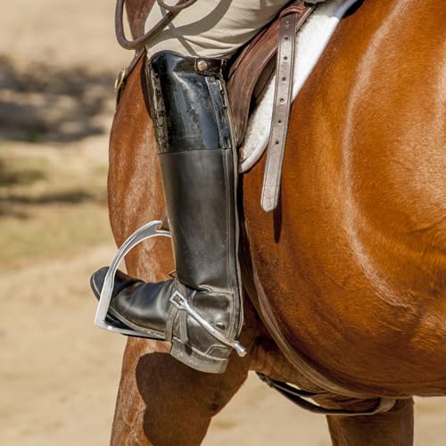 2 Pack Metal Horse Stirrups with Rubber Pads for Trail & Training Riding