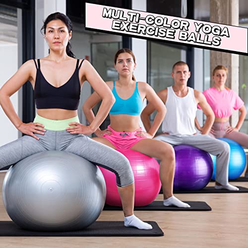 Multicolored 10-Piece Pilates Exercise Balls 65cm with Pump & Accessories