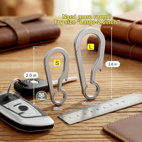 Small Titanium Carabiner Keychain Clip - Silver, 2 Inch Heavy Duty Keyring