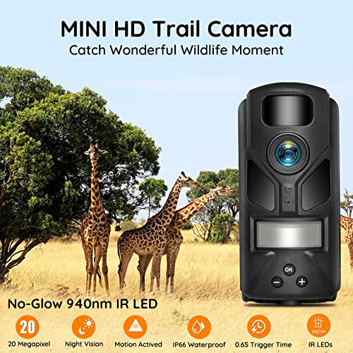 20MP Mini Trail Camera with Night Vision 80ft Range Waterproof Hunting Camera