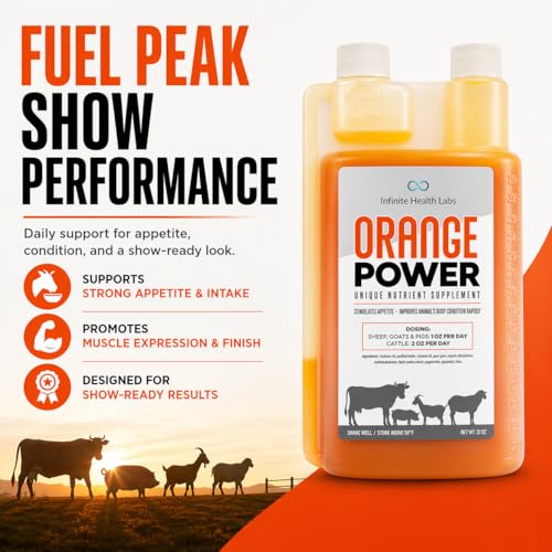 Infinite Health Labs Orange Power Show Animal Appetite Support 32 Fl Oz - Show Animal Feed