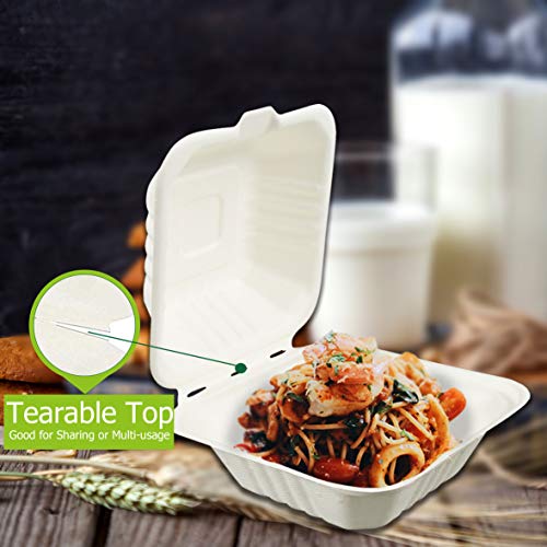 Green Earth Compostable 6-Inch Clamshell Food Box - 500 Pack, Bagasse Food Container with Variation 1-Compartment