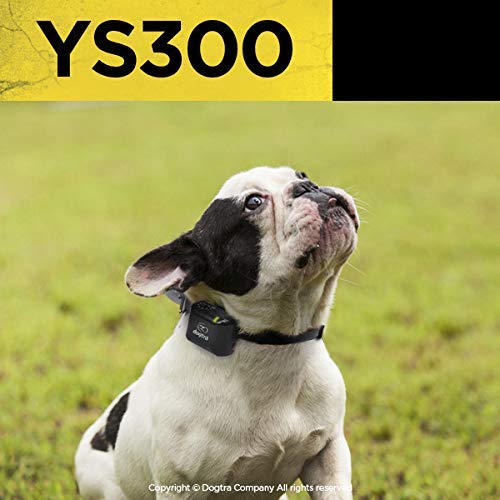 Dogtra YS300 No Bark Collar for Small & Medium Dogs 10 lbs Up Rechargeable Waterproof