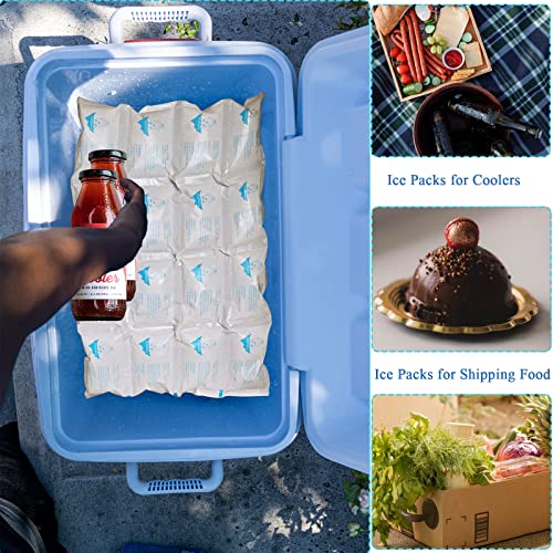 Reusable Ice Packs for Shipping & Cold Food Storage - White, 5 Sheets x 16 Large Ice Cells