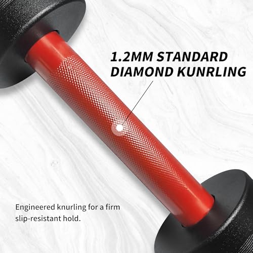 Red 16-Inch Olympic Dumbbell Handle Set with Spring Collars for Home Gym