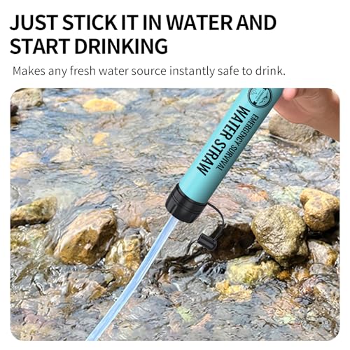 Lormandy Blue 6-Pack Personal Water Filter Straws - Portable Hydration System