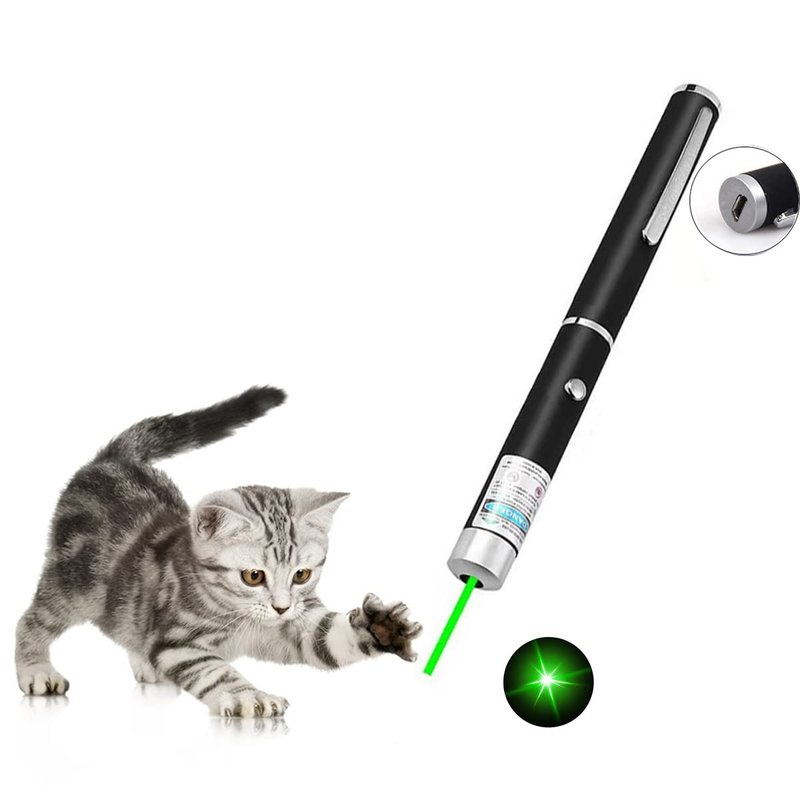 CHUQIANTONG Cats Toys USB Rechargeable Pet Interactive Toys with Green Remotes for Indoor Classroom Interactive Teaching (Green, USB 1 Pack)