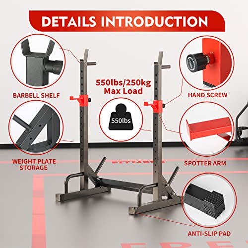 Adjustable Squat Rack with Pull-Up Bar & Dip Station, 550 lbs Capacity Home Gym