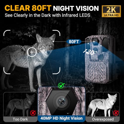 LynHawk Camo 2 Pack Trail Camera with No-Glow IR Night Vision, 0.05s Trigger, Waterproof Hunting Camera