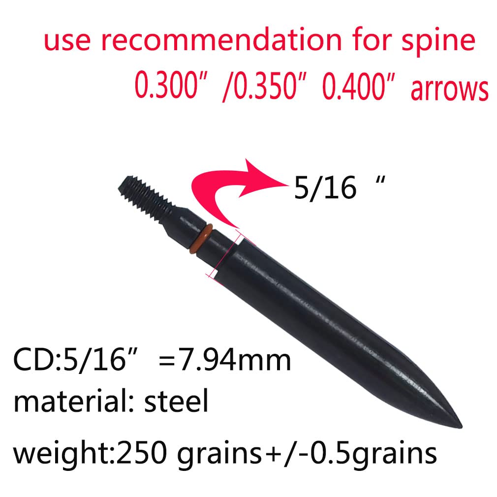 Field Points arrowheads 250 Grains Archery Field Points, 5/16" Steel Screw in Archery Field Tips and Broadheads (1 Dozen 12 PCS)