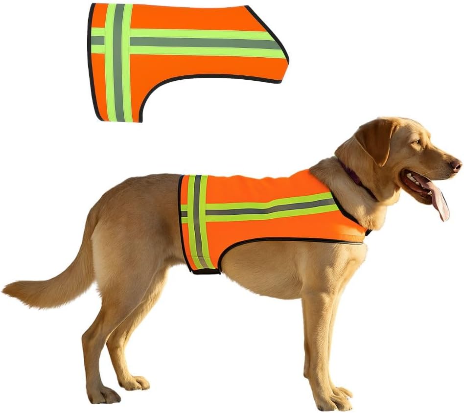 Skiennix Reflective Dog Vest - Hi-Visibility Blaze Orange Safety Vest, Adjustable & Lightweight for Outdoor Use | Water Resistant (Medium)