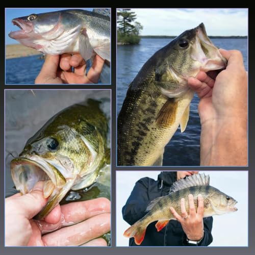 EWG Worm Hooks 3/0 50 Pieces Weedless Bass Fishing Hooks - Strong & Durable