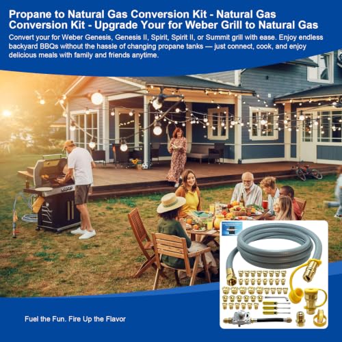10FT Natural Gas Conversion Kit for Weber Grill - Complete NG Conversion for Genesis, Spirit & Summit