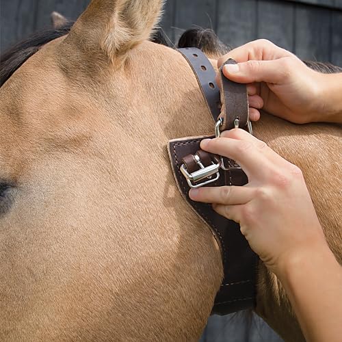 Horse Cribbing Collar - Medium Havana Leather Equine Behavior Deterrent