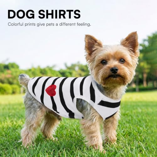 Preferhouse White Vest Dog T-Shirt for Medium Dogs - Striped Bichon Tee