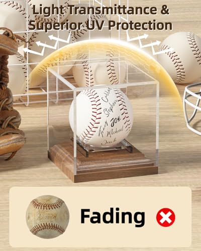 Baseball Display Case with Walnut Wood Base Acrylic Holder for Autographed Balls - Walnut Variation