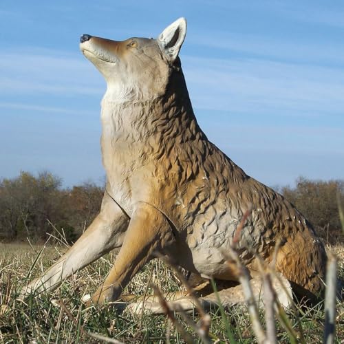 Coyote Decoy with Removable Legs for Predator Hunting and Deterrence