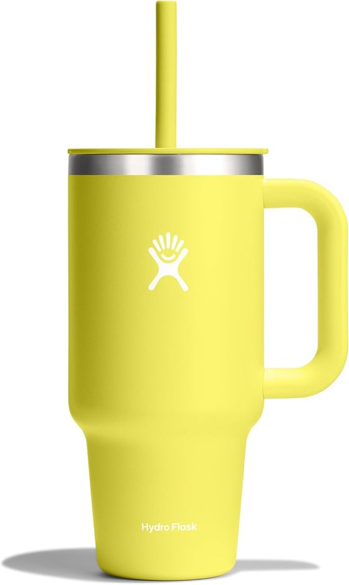 Hydro Flask Travel Tumbler - Insulated Stainless Steel with Handle & Straw | 32 Oz Cactus