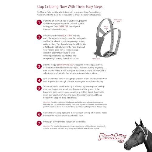 Horse Cribbing Collar - Medium Havana Leather Equine Behavior Deterrent