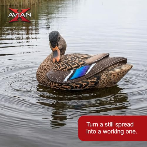Avian-X Power Shaker Motion Decoy - Mallard Hen Preener for Waterfowl Hunting
