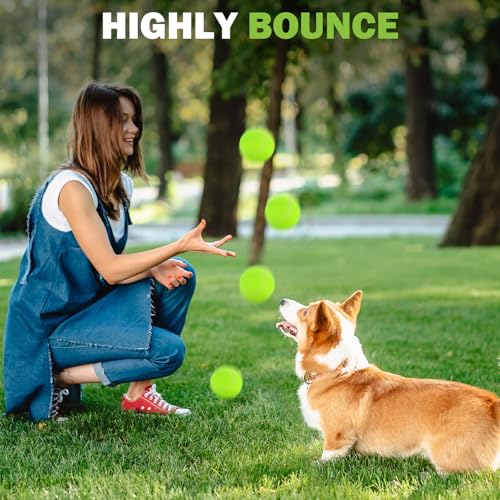 80 Pack Pressureless Tennis Balls for Dogs & Training - Durable & Portable
