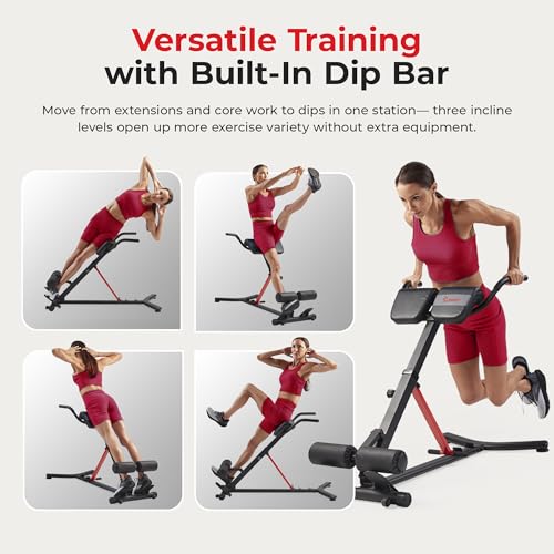 Roman Chair with Dip Bars - Multi-Function Back & Core Workout Bench - Dark Grey