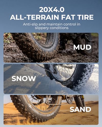 20x4 Fat Tire for E-Bikes All-Terrain 2 Pack - Durable Off-Road Bicycle Tires