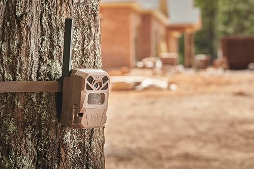 Cellular Security Camera with 36MP & Low-Glow Flash for Remote Surveillance