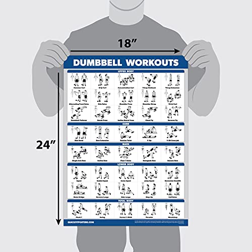Palace Learning 4 Pack - Dumbbell + Bodyweight + Kettlebell Workouts - Sliding Bench - Set of 4 Laminated Charts (18'' x 24'')