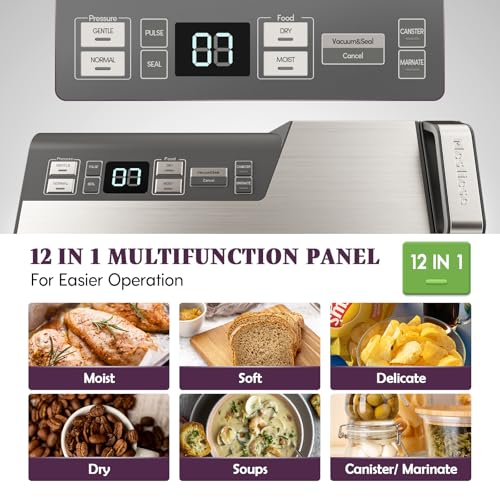 Mesliese Vacuum Sealer with 95kPa Suction, 140W, 20L/min, Silver Gray
