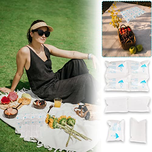 Reusable Ice Packs for Shipping & Cold Food Storage - White, 5 Sheets x 16 Large Ice Cells