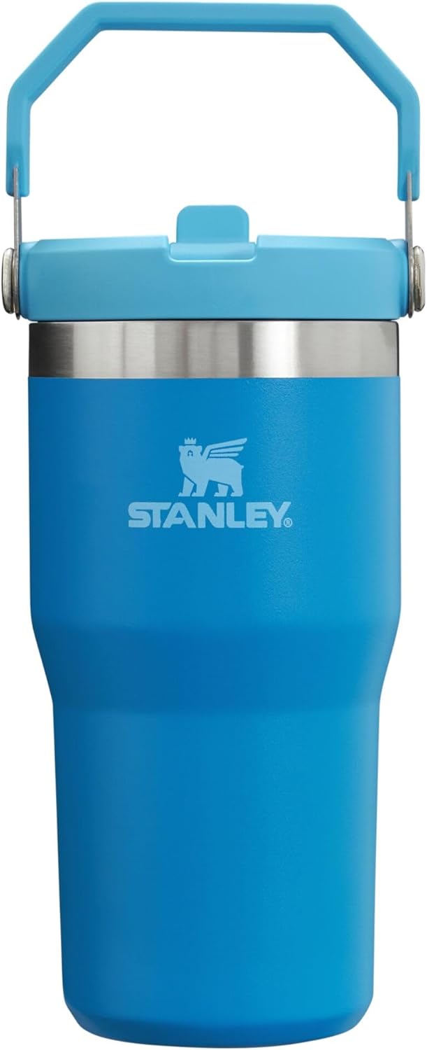 Stanley IceFlow 20 oz Flip Straw Tumbler - Insulated Stainless Steel Water Bottle | Leak Resistant | Azure