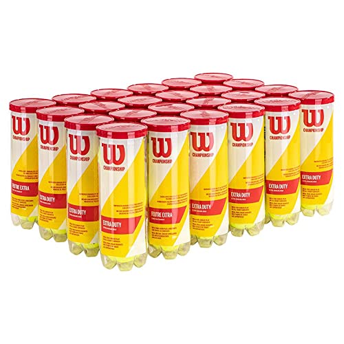 Wilson Championship Extra Duty Tennis Ball Case - Professional Recreation Equipment