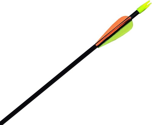 GPP 28-inches Fiberglass Archery Target Arrows - Practice Arrow or Youth Arrow for Recurve Bow