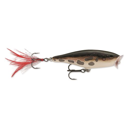 Rapala Skitter Pop Topwater Popper, Surface Hard Bait, Bass Fishing Lure, Splash and Pop Action, 2-3/4", Shad