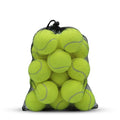 Yellow Tennis Balls 20 Pack Practice & Dog Balls with Mesh Bag